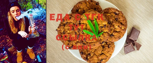 стаф Ельня
