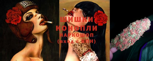 стаф Ельня