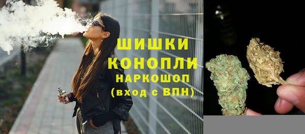 стаф Ельня