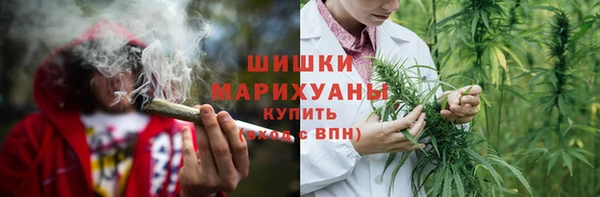Альфа ПВП Елизово