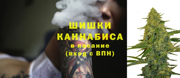Альфа ПВП Елизово
