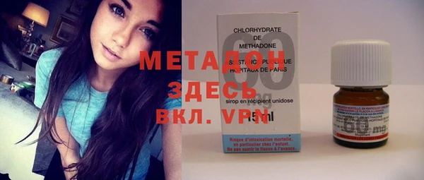 прущие грибы Елабуга