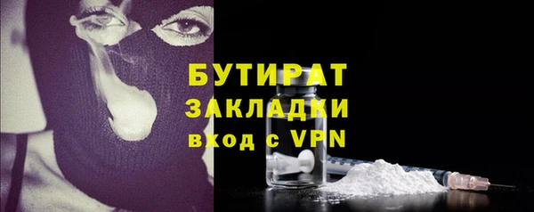 стаф Ельня