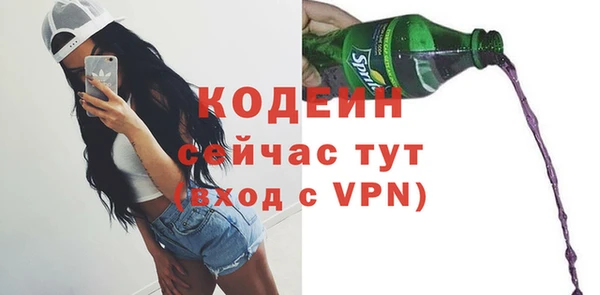 стаф Ельня