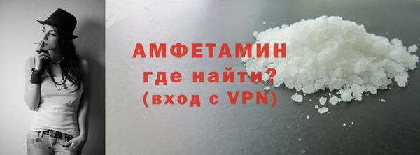 стаф Ельня