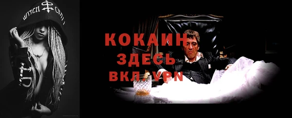 стаф Ельня