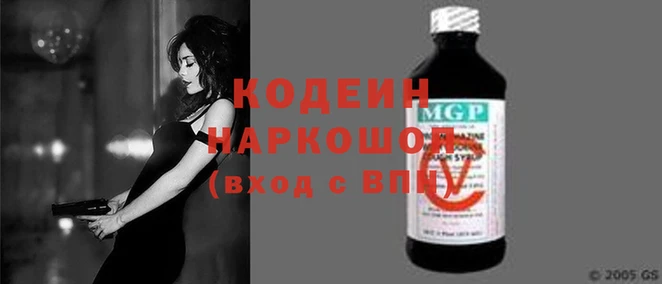 прущие грибы Елабуга