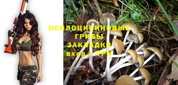 Альфа ПВП Елизово