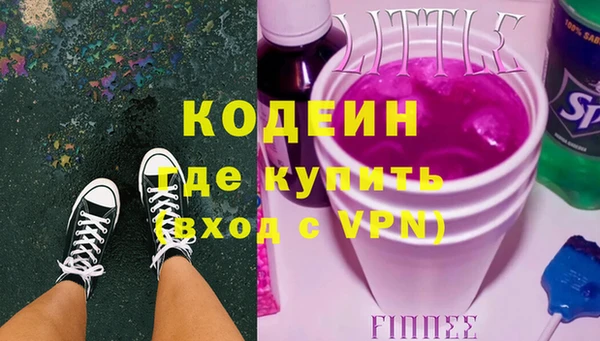 прущие грибы Елабуга