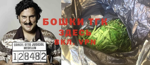 стаф Ельня
