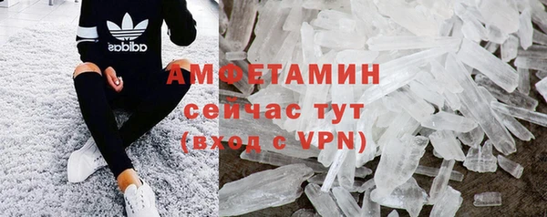 прущие грибы Елабуга
