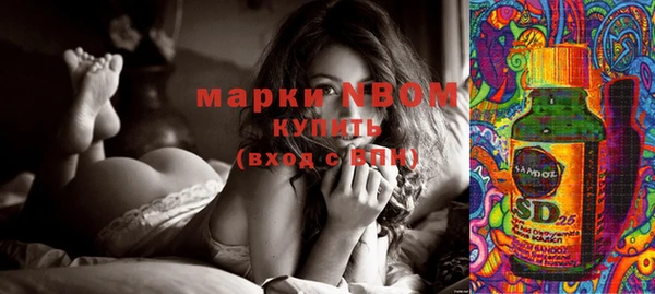 прущие грибы Елабуга