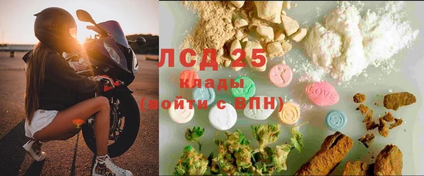 стаф Ельня