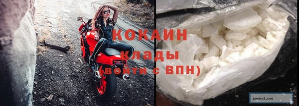 прущие грибы Елабуга