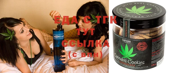 прущие грибы Елабуга