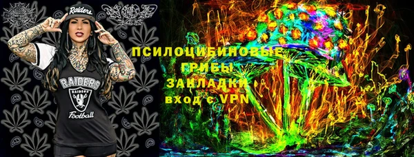 стаф Ельня