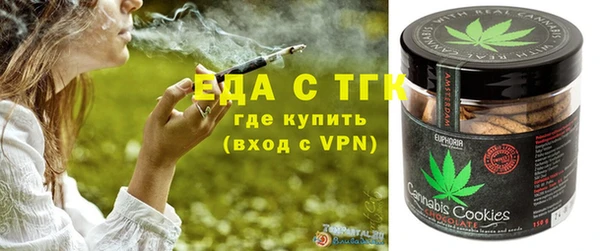 стаф Ельня