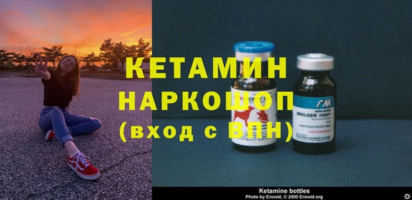стаф Ельня