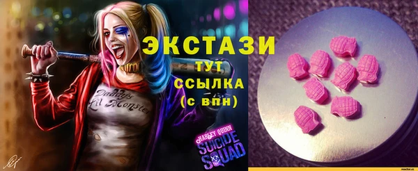 стаф Ельня