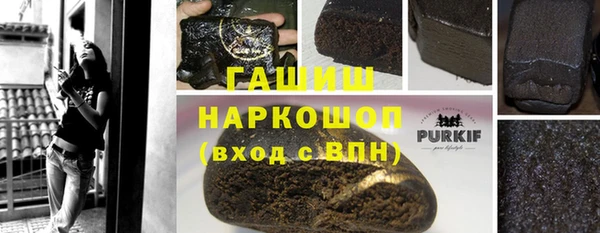 стаф Ельня