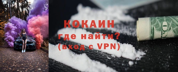прущие грибы Елабуга