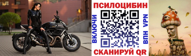Галлюциногенные грибы Cubensis  Купить закладки  Буй 
