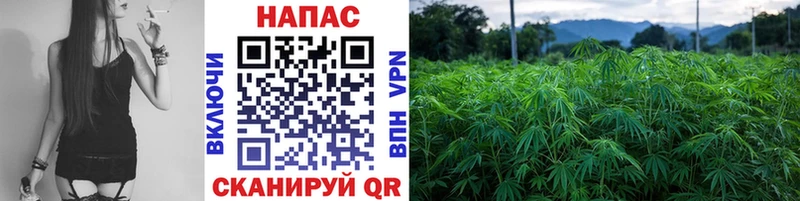 Каннабис THC 21% Буй